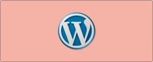 WordPress For Norwegian Businesses